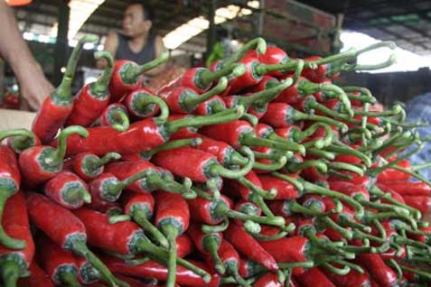  Stok Cabai Nasional Tahun Ini Surplus 24.500 Ton