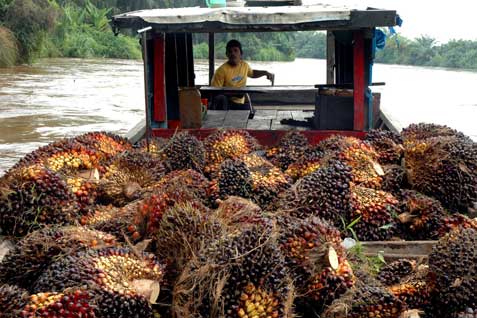  Limbah Cair TBS Sawit di Riau Belum Termanfaatkan