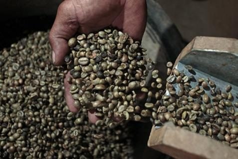  Harga Kopi Robusta Terkoreksi 0,23%