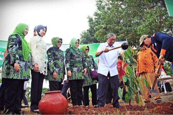  Didampingi Ibu-ibu, Menristek Tanam Pohon di Puspitek Serpong