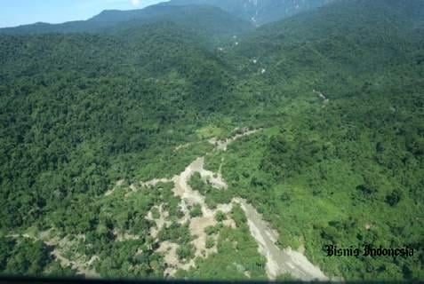  APP dan SMF Dukung Pengembangan Hutan Rendah Karbon