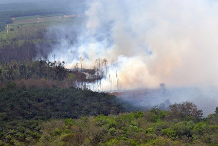  Kebakaran Hutan: Disbun Riau Adakan Diklat Damkarbunla