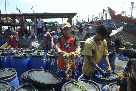  Kementerian Kelautan dan Perikanan Dorong Budidaya Payau dan Laut