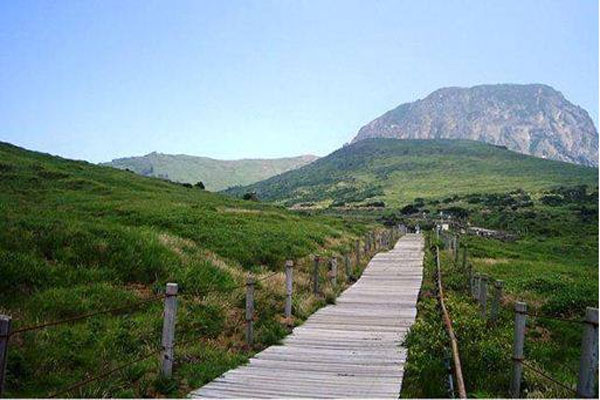  Pulau Jeju, Tujuan Wisata Ferry Tenggelam