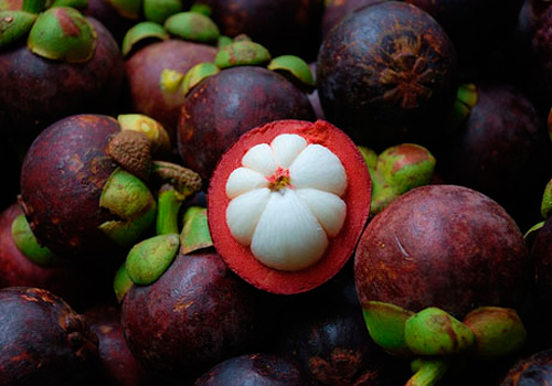  Indonesia Jajal Pasar Buah Manggis di Benua Oseania