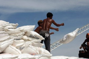  Petani Tebu Desak Bulog Batalkan Impor Gula