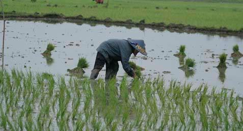  ALIH FUNGSI LAHAN, DPRD Dorong Pemkab Bandung Revisi RTRW