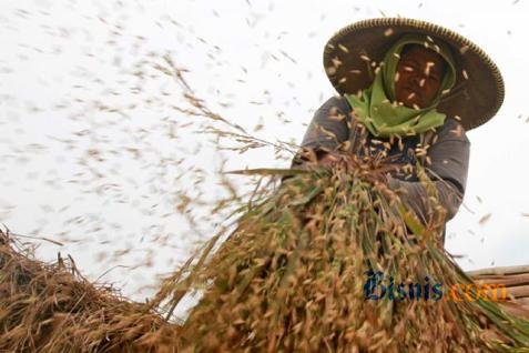  Pemkab Bandung Sulit Pacu Produksi Padi