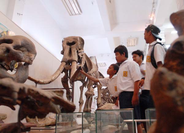  Wow, Ada Gajah Purba Blora di Museum Geologi Bandung