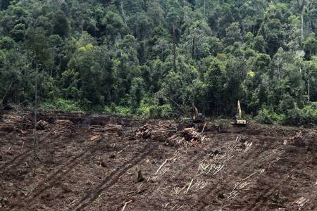  Ahli Tanah ITB: Kerusakan Lahan Gambut Rawa Tripa Sangat Parah