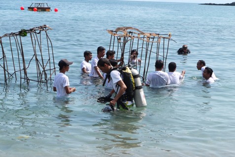  TERUMBU KARANG LOMBOK: Penyelam Asing Tanamkan Domus Sepiae