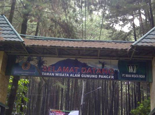  Tiket Masuk Kawasan Wisata Gunung Pancar Naik