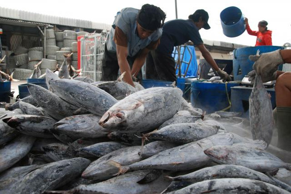  KONSUMSI IKAN: Selama Puasa Ramadhan Diprediksi Naik 7 %