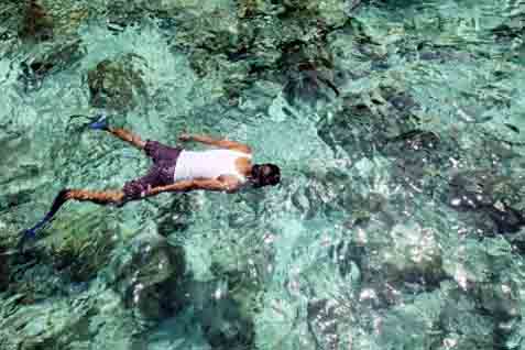  RAJA AMPAT: Eksotisme Petualangan Bawah Laut
