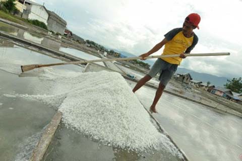  Produksi Garam Rakyat Masih Andalkan Konsumsi Rumah Tangga