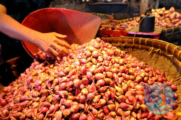  Dekati Puasa, Harga Bawang Merah Terus Merangkak Naik