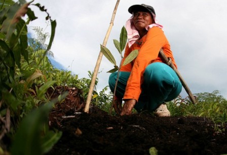  EFEK RUMAH KACA: Indonesia Dinilai Bantu Turunkan Emisi