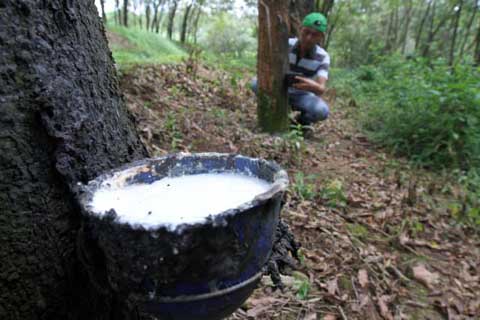  Gaperindo Jabar Genjot Mutu Bokar Karet