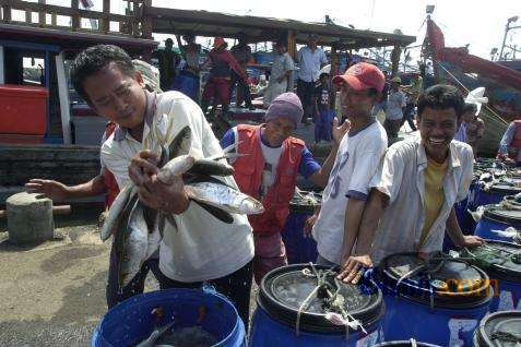  Tangkapan Ikan Nelayan di Jabar Susut