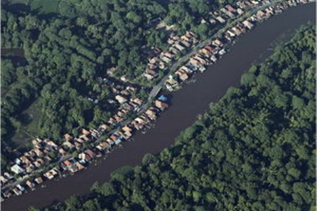  KESEIMBANGAN EKOLOGI: Pemerintah Baru Diharap Rekonfigurasi Hutan Jawa