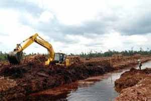  Sertifikat RSPO: Pemberian Harus Melalui Seleksi Secara Ketat