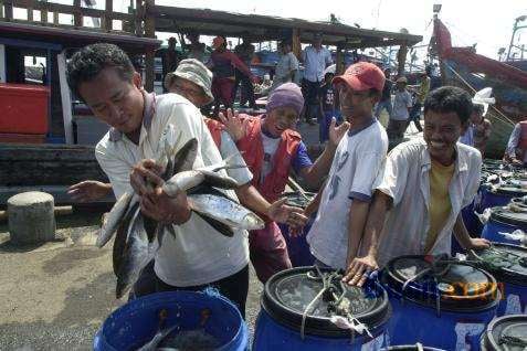  PAKAN IKAN: Jelang Lebaran, Produksi Ditargetkan Naik 15%