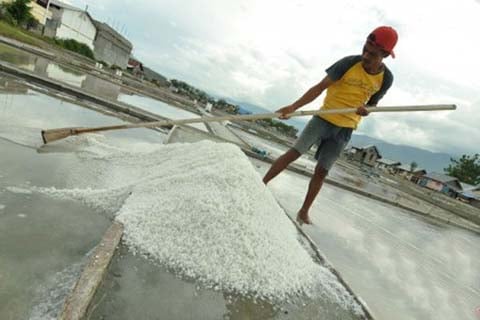  Anomali Cuaca, Produksi Garam di Pantura Jabar Terhambat