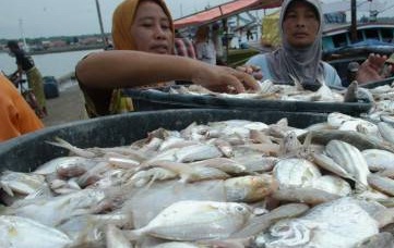  Potensi Kelautan Bocor: Penangkapan Ikan Lebihi Batas