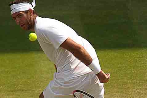  TENIS WIMBLEDON: Hasil Pertandingan Semi Final