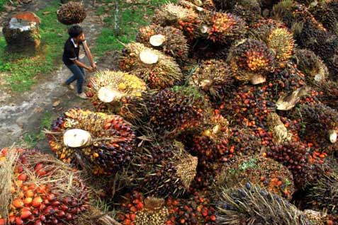  Harga CPO Melonjak, Pendapatan Astra Agro (AALI) Terkerek