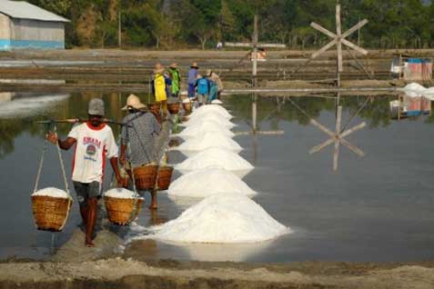  PRODUKSI GARAM: Pemerintah Segera Bentuk Korporatisasi Usaha Garam Rakyat