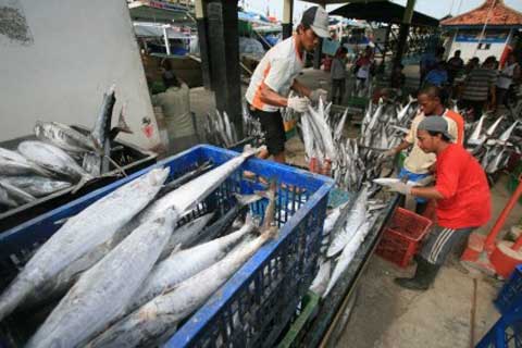  PASOKAN IKAN: Stok Cukup, Harga Terkendali