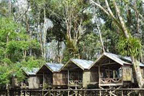  Kampung Tengkawang: Sinergikan Ritual Adat Dalam Menjaga Hutan