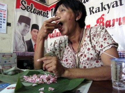  Relawan Jokowi Ini Doyan Makan Bunga Mawar & Kantil