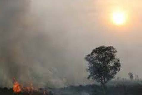  TITIK PANAS: 90 Hotspot Terdeteksi di Wilayah Riau