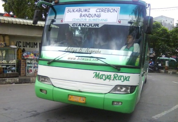  Sopir Ngantuk, Bus Jurusan Sukabumi-Cirebon Terjun ke Sawah