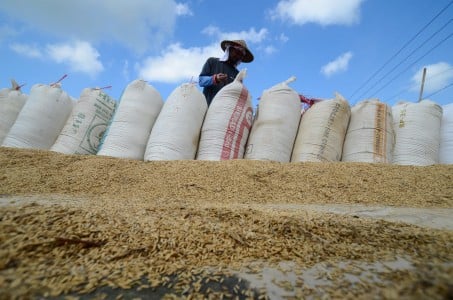  Harga Gabah di Tasikmalaya Turun