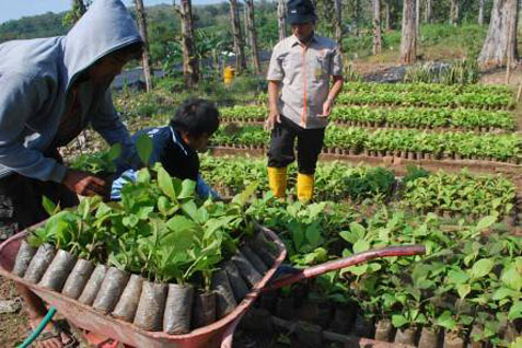  ARUS BALIK LEBARAN: Wali Kota Depok Minta Warganya Bawa Oleh-oleh Pohon