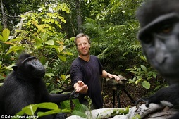 Wikimedia Tolak Hak Cipta Selfie Monyet Fotografer Ini