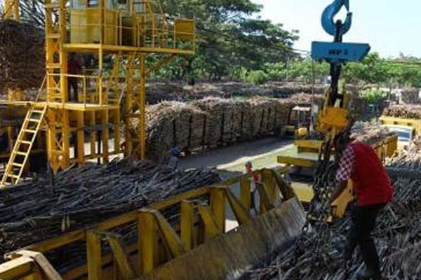  Begini Sikap Dirut RNI Terkait Kenaikan HPP Gula