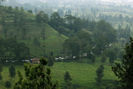  Bina Marga Jamin Pembebasan Lahan Jalur Puncak II Tak Ada Masalah