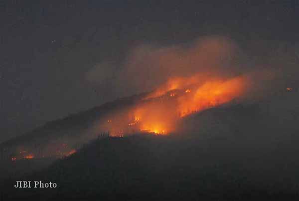  Kebakaran Hutan di Lereng Gunung Lawu, Jalur Pendakian Ditutup Sementara