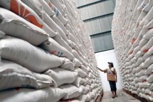  Harga Gabah Tinggi, Penyerapan Bulog Cirebon Terganggu