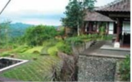  AGROWISATA BALI Mulai Dilirik Wisatawan Asing Dan Domestik