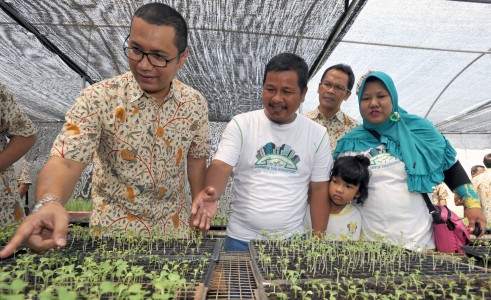  Urban Farming, Ewindo Pelopori Pertanian Kota