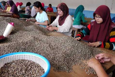  Pemerintah Dinilai Tidak Transparan Soal Pajak Produk Pertanian, Perkebunan, Kehutanan