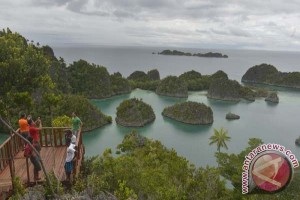  Tarif Cottage & Penginapan di Raja Ampat Naik 30%