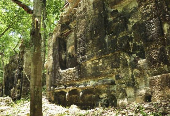  2 Kota Kuno Suku Maya Ditemukan di Hutan Meksiko