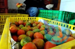  Buah Tomat Mampu Tekan Risiko Kanker Prostat