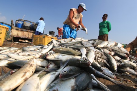  Tangkapan Ikan Indonesia Jauh dari Tiongkok